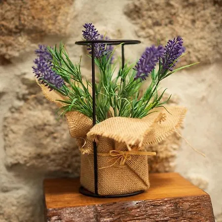 Villa Casa Do Parente Sabroso de Aguiar