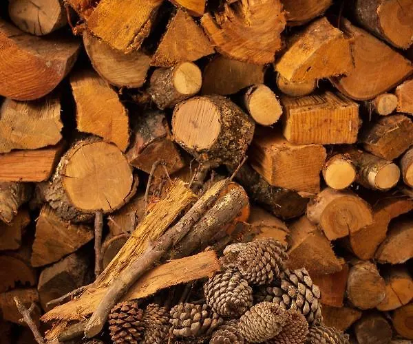 Casa Do Parente Вилла Sabroso de Aguiar